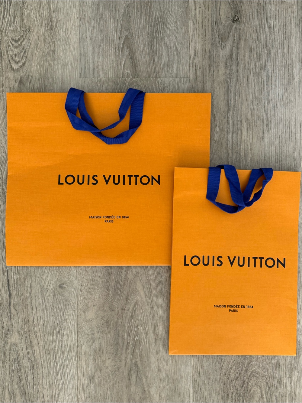 Louis Vuitton Shopper Bags - Set of 2!